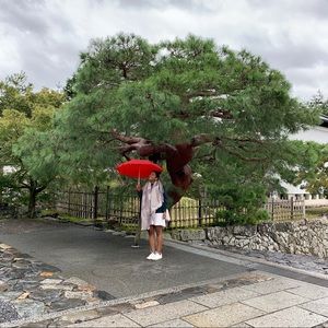 Meet your Posher, Shanila